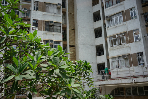 hong kong landscape