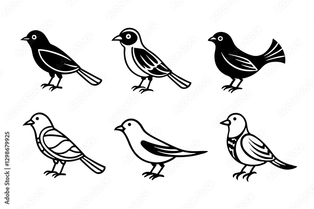 Fototapeta premium set of birds