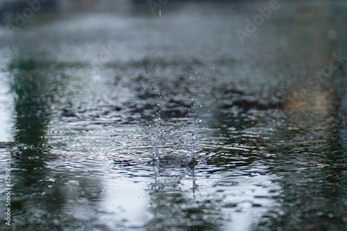 Canvastavla Drops of rain that fall on the asphalt when it rains