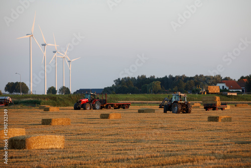 Farmers gather harvested bales in a field with wind turbines at sunset in rural countryside