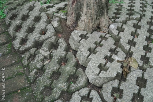 Effect of the roots of a tree breaking and lifting the ground in a park. tree roots damage bricks. nature takes back what human has taken from it. root of tree growing and damage brick block walkway
