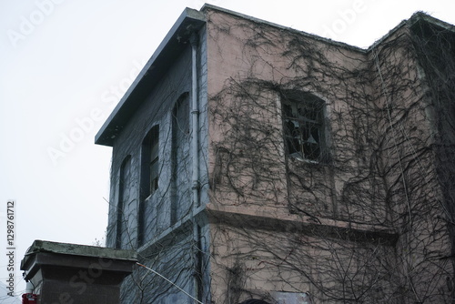 old house covered with vine in the city