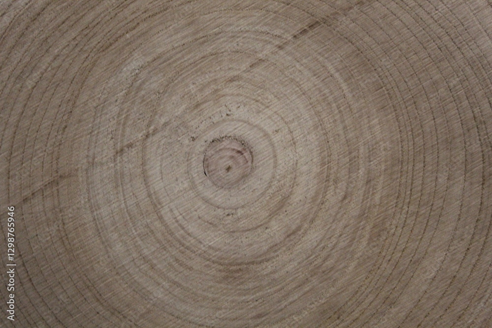 Naklejka premium texture of tree