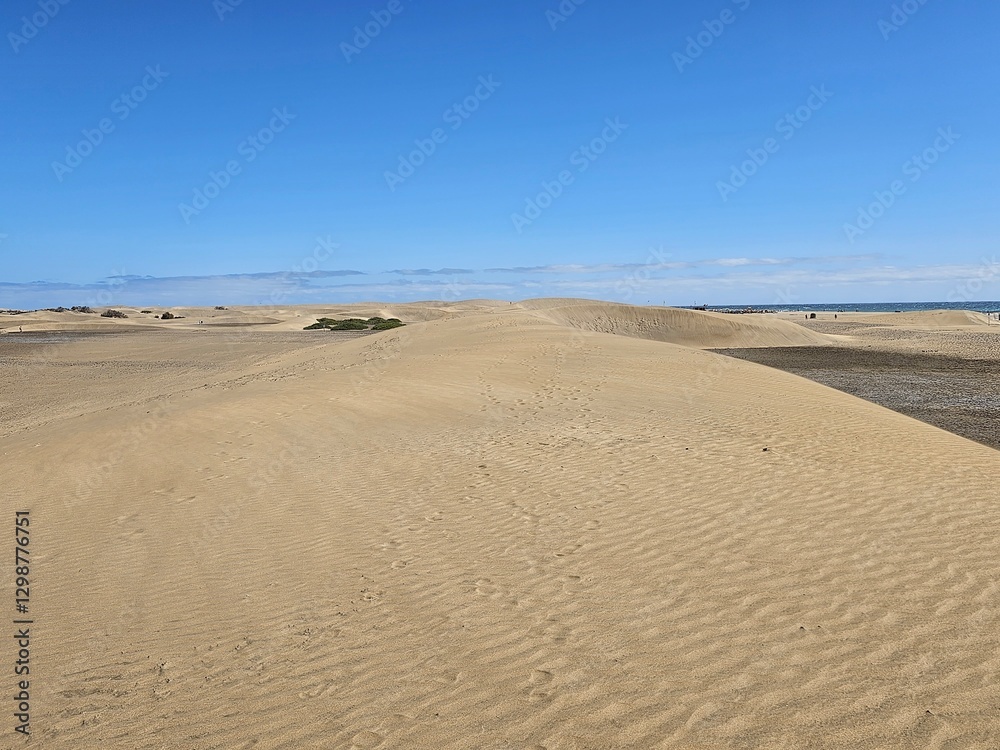 Maspalomas, Sahara Sandwüste und Dünen Maspalomas, Sahara Sandwüste und Dünen
