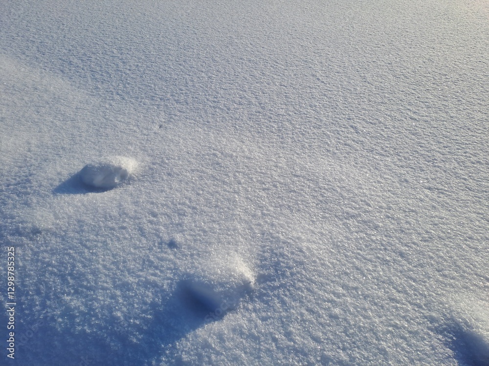 Naklejka premium footprints in snow