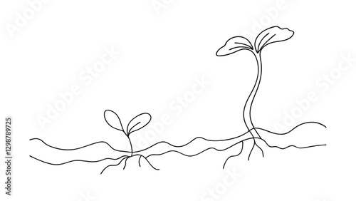 Line drawing shows two seedlings emerging from soil. One is small, the other taller, illustrating growth stages and root systems. Simple, minimalistic style.