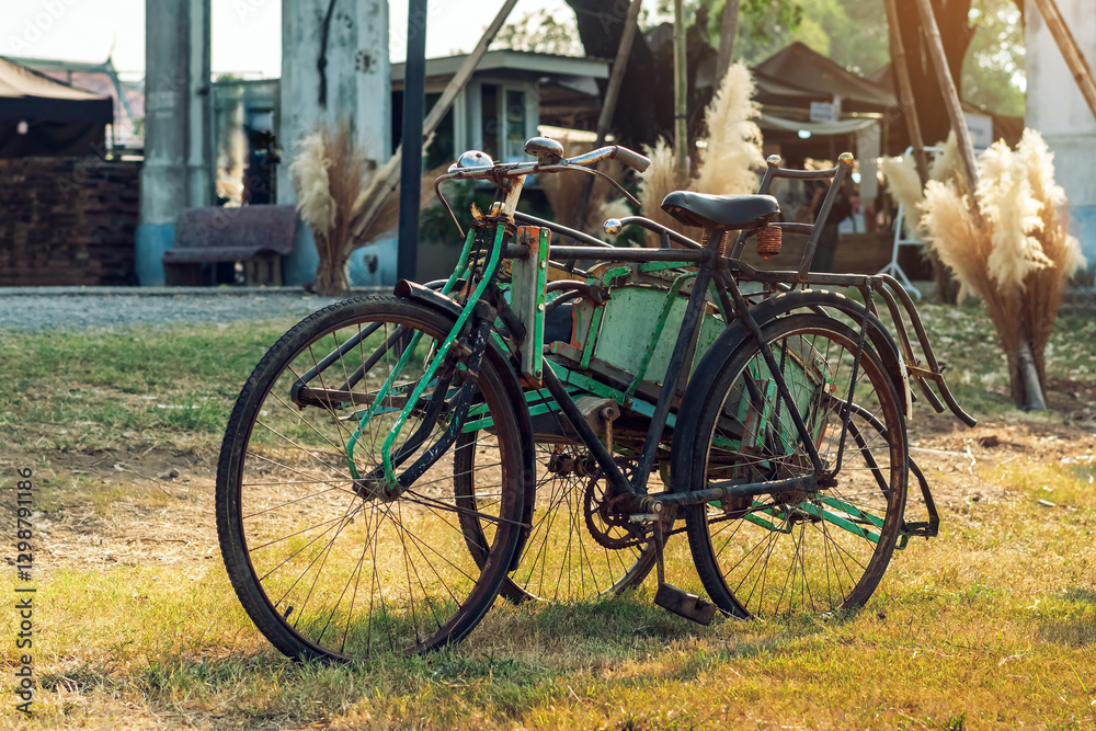 Antique tricycle. Old classic bicycle placed in grass to decorative element. Old tricycle with bench style seating. Old tricycle vintage garden for decorative items antiques collection classic bike.