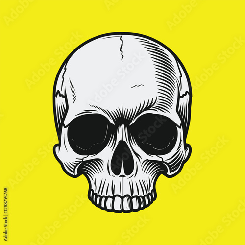 Realistic skull illustration graphic design