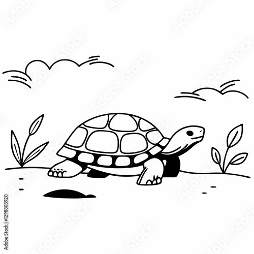 black and white turtle or tortoise line art vector, isolated on white background