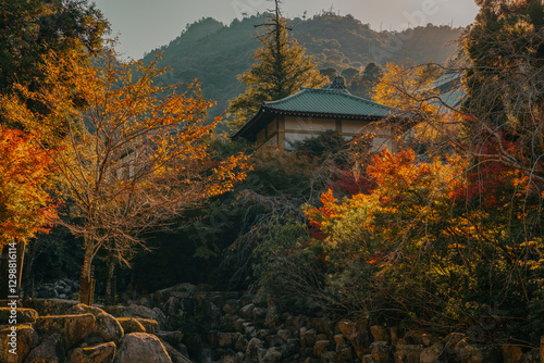 Torii on Miyajima Island, Hiroshima