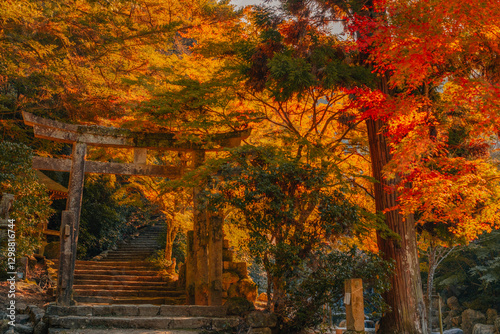 Torii on Miyajima Island, Hiroshima