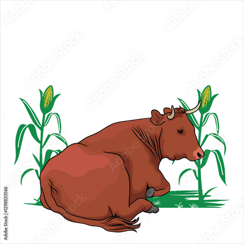 cow and corn on separate white background