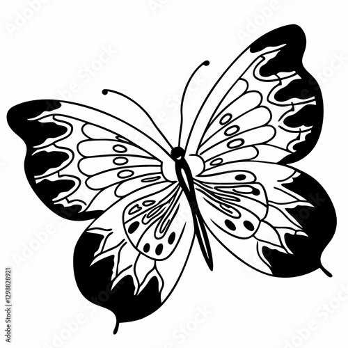 black and white butterfly vector illustration line art in white background