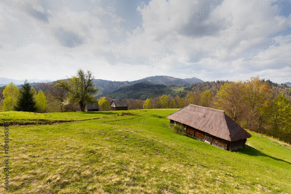Obraz premium An old wooden house in a mountain meadow. Carpathians