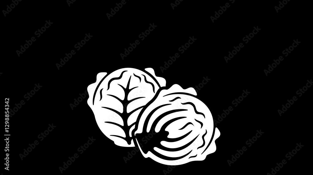 Chinese cabbage, red cabbage and white cabbage, graphic animation. White. Transparent background motion design. 4K resolution Chinese cabbage, red cabbage and white cabbage, graphic animation. White. Transparent background motion design. 4K resolution