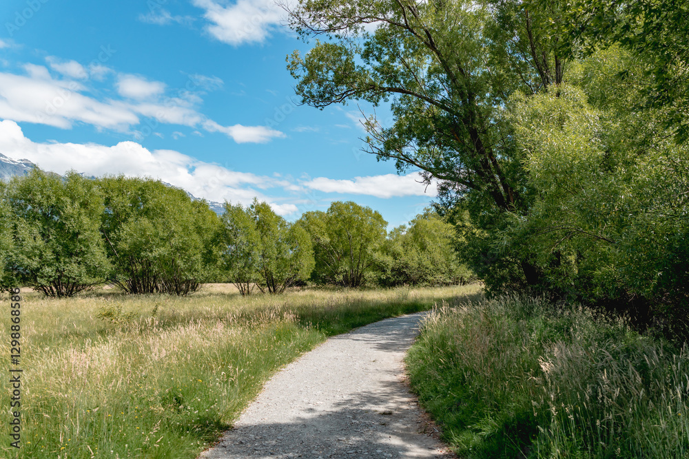 Glenorchy lagoon walkway, The boardwalk traverses wetlands north of Glenorchy, New Zealand's South Island