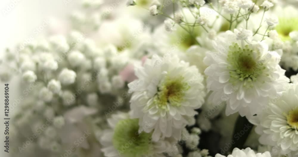 close-up, Flower bouquet in the rays of light, rotation, the floral composition consists of white Chrysanthemum and gypsophila