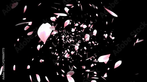 渦巻く桜吹雪のアニメーション