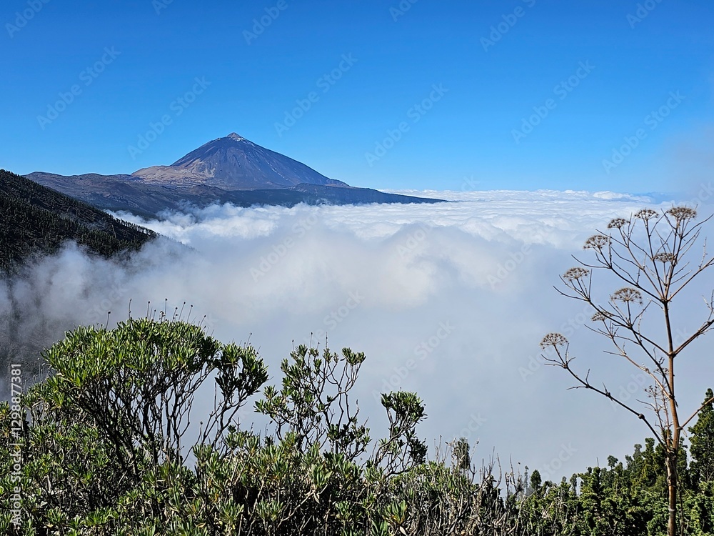 Nationalpark El Teide Teneriffa