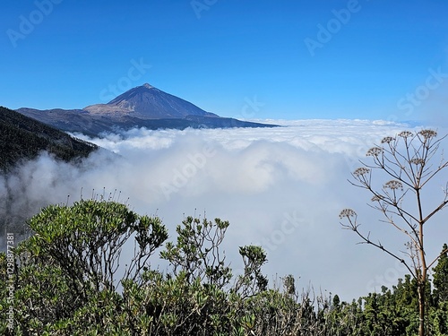 Obraz na płótnie Nationalpark El Teide Teneriffa w salonie