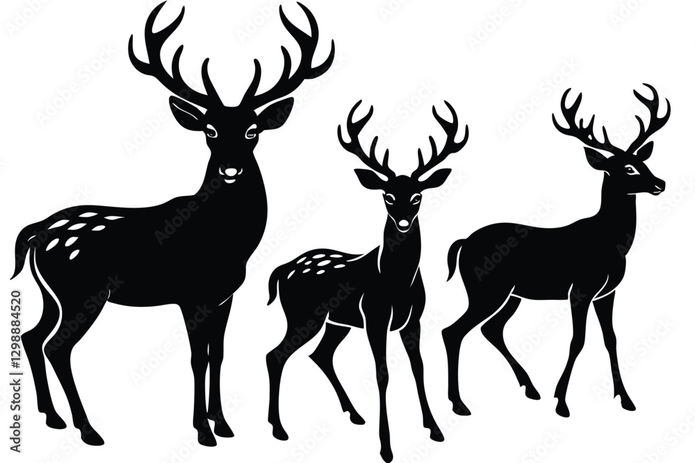 Fototapeta premium silhouette of deer