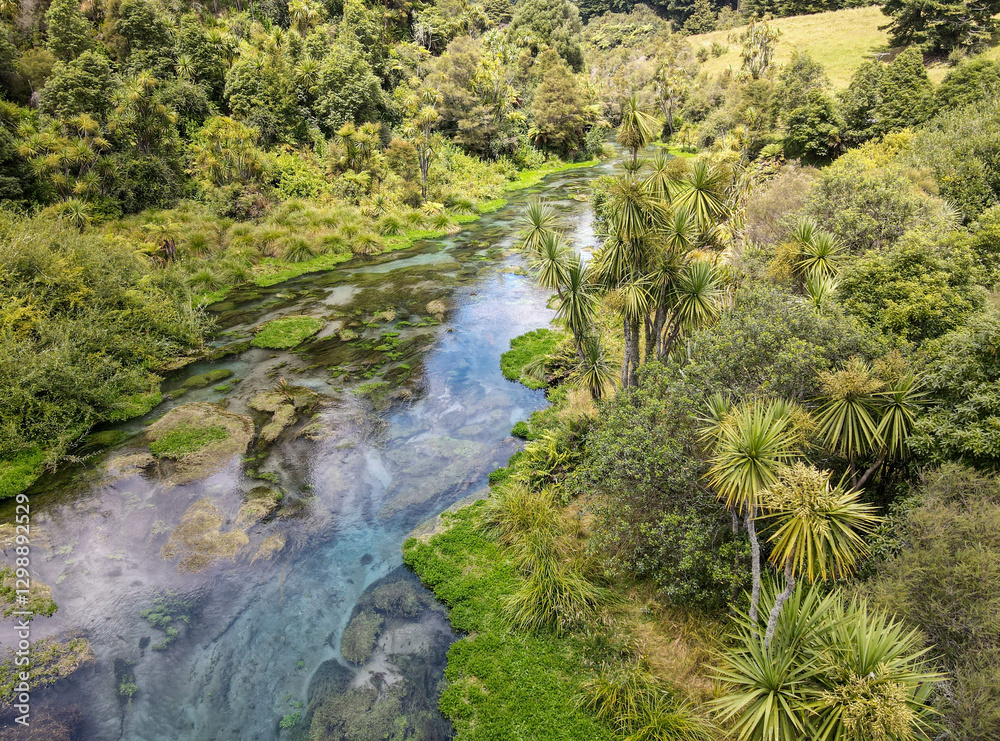 Drone view at Blue Spring river (Te Waihou Walkway) in New Zealand Drone view at Blue Spring river (Te Waihou Walkway) in New Zealand