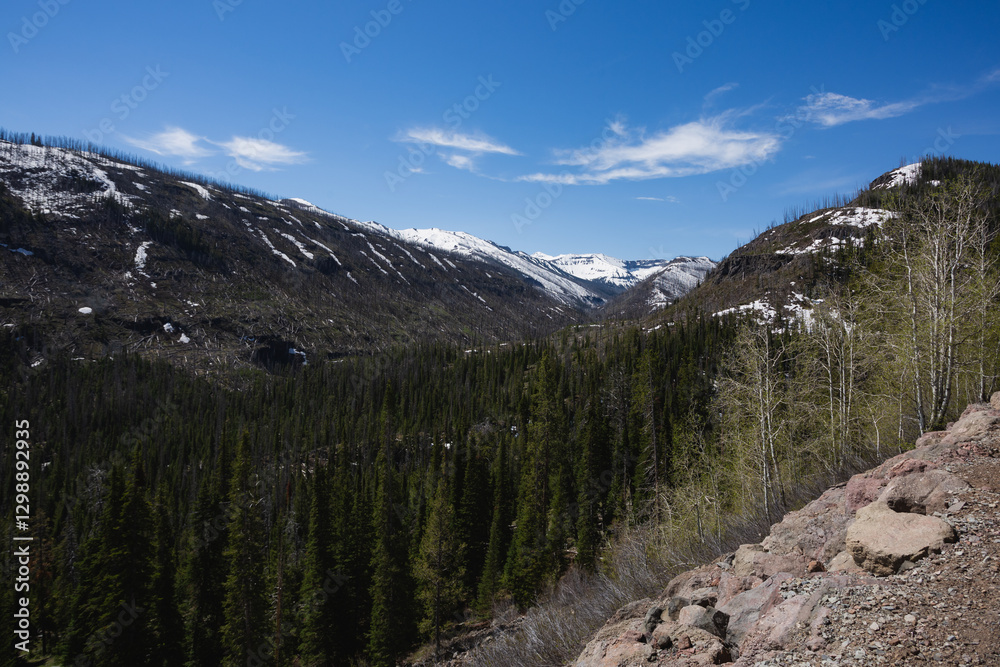 Fototapeta premium A large valley in Yellowstone, Wyoming.