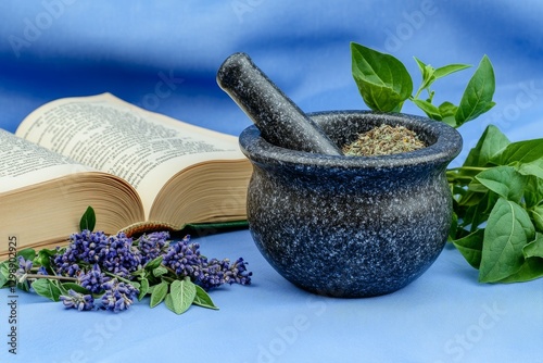 A traditional herbal remedy setup featuring dried herbs, mortar and pestle, and an open book of ancient medicine