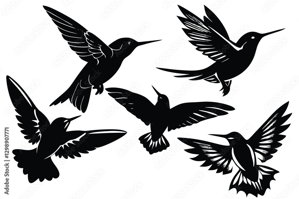 Obraz premium hummingbird in flight vector illustration