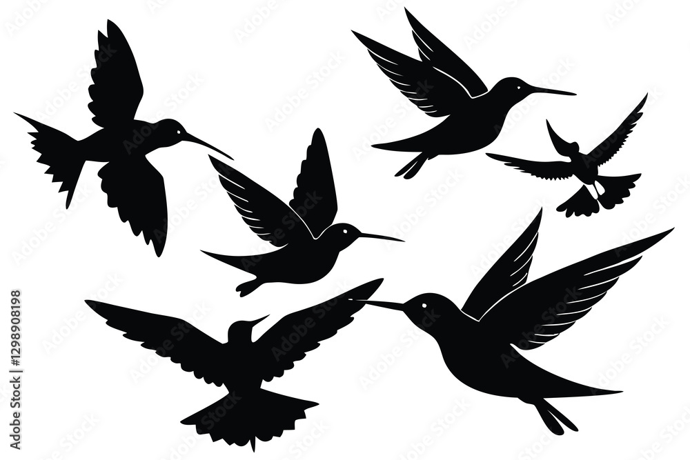 Obraz premium hummingbird in flight vector illustration