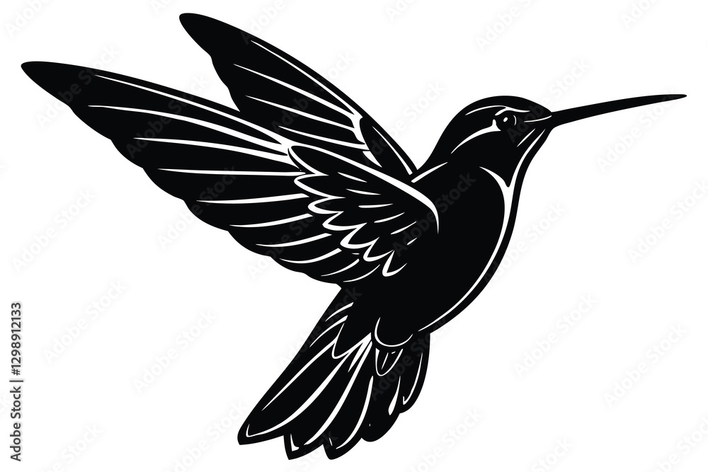 vector illustration of a hummingbird vector illustration of a hummingbird