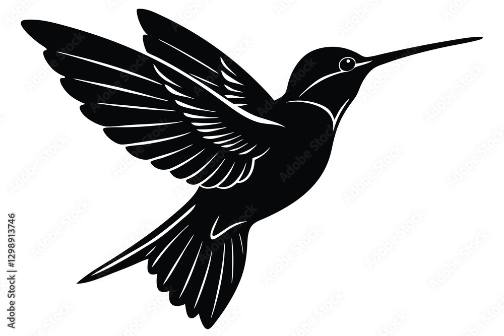 Obraz premium hummingbird vector illustration