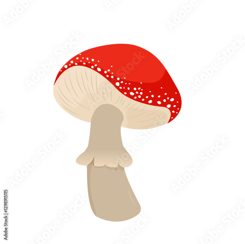 red poison mushroom amanita, toadstool - vector illustration