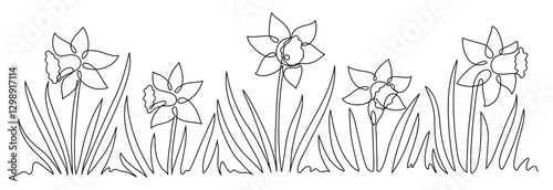 Daffodils. Continuous line drawing. Frame border.