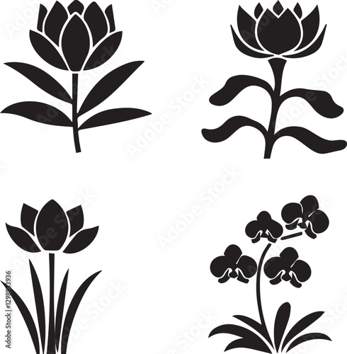 A set of unique vector silhouette illustrations of Cambodia's iconic flowers on a white background