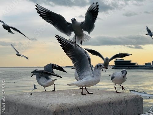 Foto Flock of black-headed gulls flying over concrete pier near sea