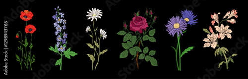 Collection of various birth month summer, autumn blooming flowers. Rose, Larkspur, poppy, lily, daisy, aster colorful vector illustrations isolated on black background. Hand drawn modern floral set.