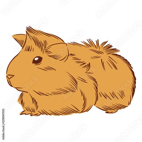 Guinea Pig Illustration: A cute and cuddly guinea pig, depicted in an artistic illustration, with detailed fur and endearing features, ready for a pet lover's touch.