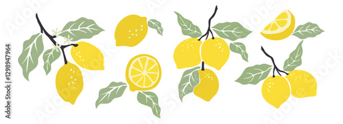 Hand drawn abstract lemons set. Collection of whole and cut lemons, branches, flowers and leaves vector illustrations isolated on transparent background. Fresh juicy citrus fruit.