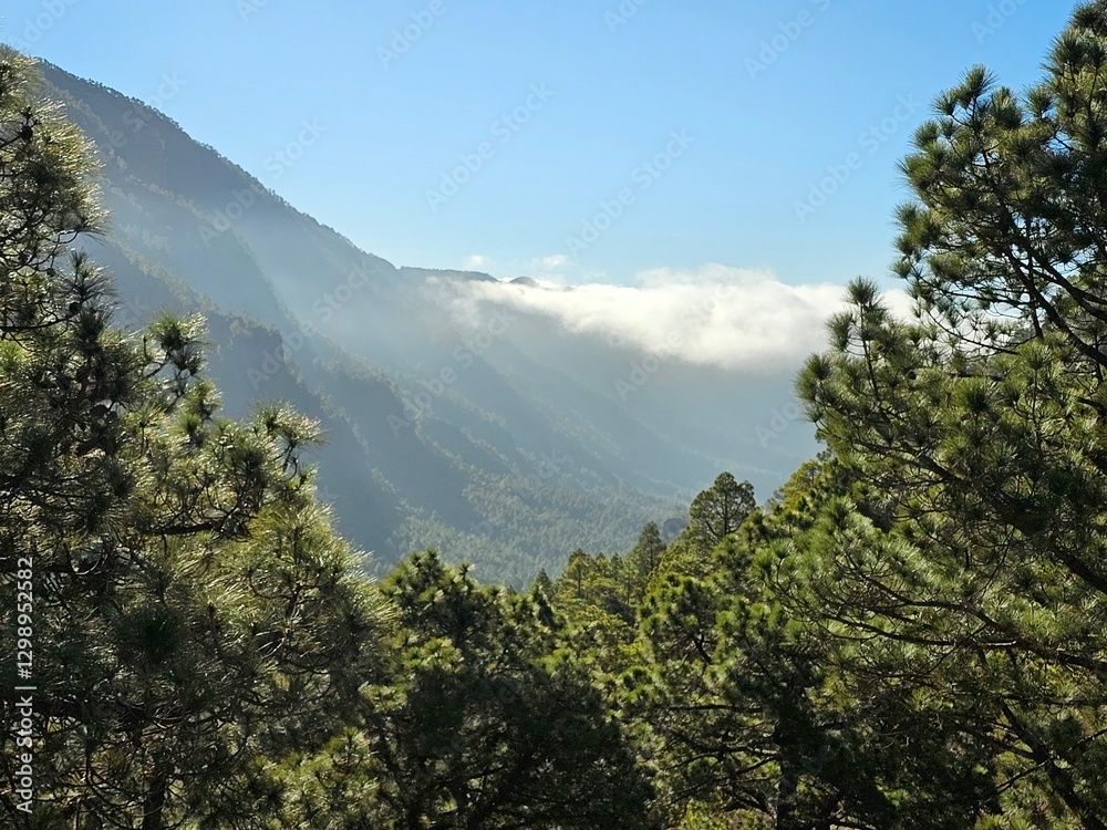 La Palma, Nationalpark Caldera de Taburiente