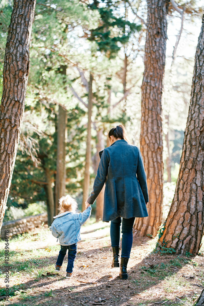 Fototapeta premium Mom and a little girl are walking along a path in a sunny forest holding hands