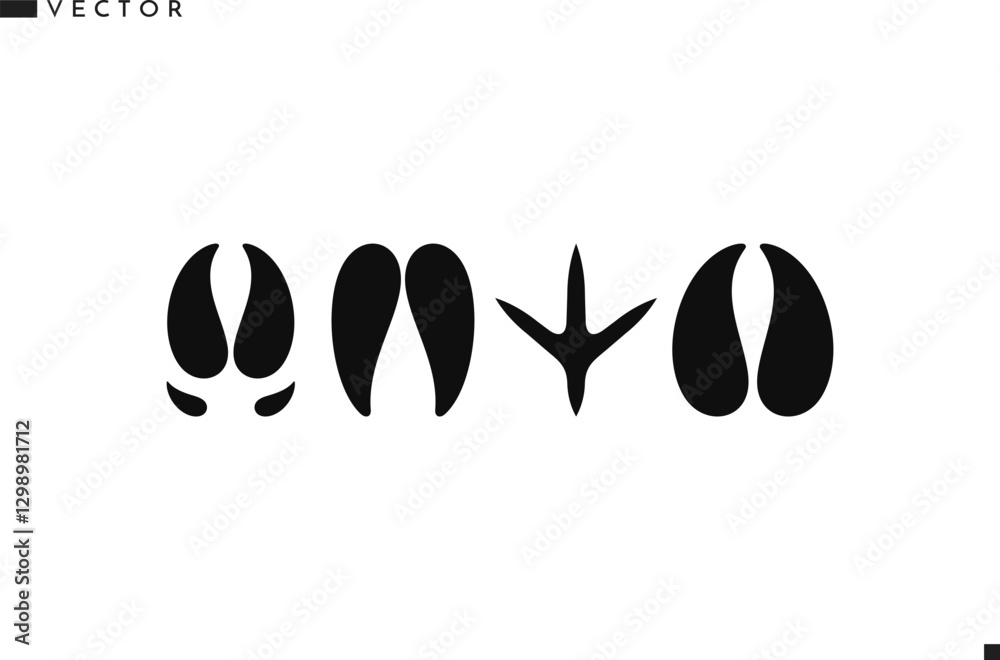 Fotografie Animal paw prints