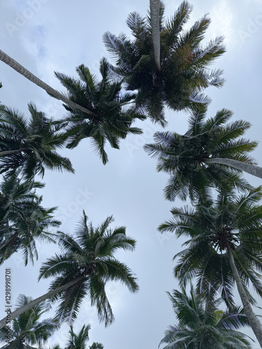 Beautiful beach in Indonesia