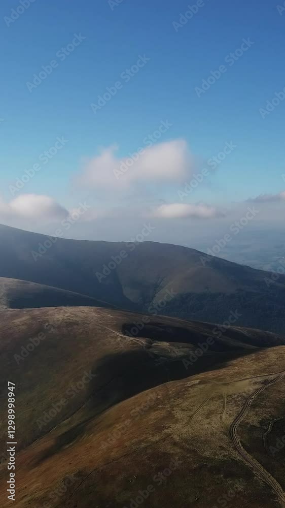 Vertical video Aerial flying forward over a felled forest for construction or agricultural needs. Deforestation for wood. Destruction of nature and ecosystem by people. Climate change, ecology, earth.