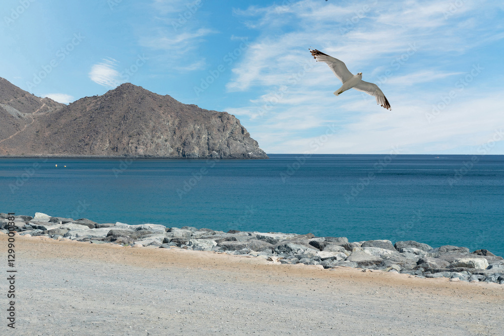 Fujairah seafront, United Arab Emirates