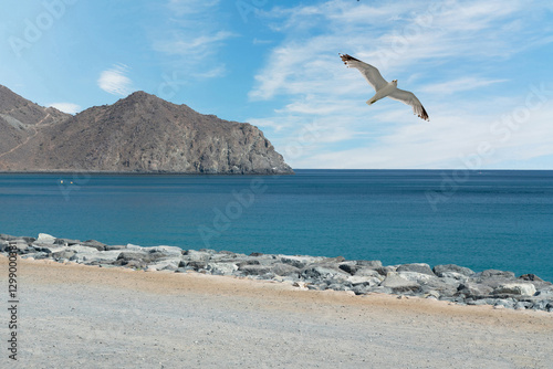 Obraz na płótnie Fujairah seafront, United Arab Emirates w salonie