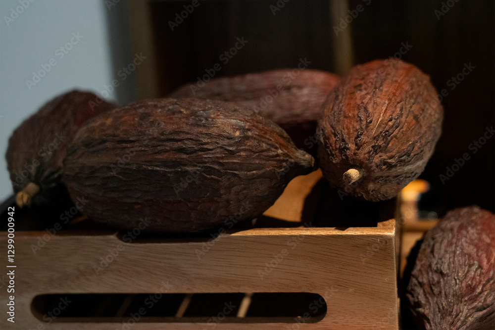 Cocoa fruits in the box