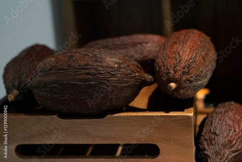 Obraz na płótnie Cocoa fruits in the box w salonie
