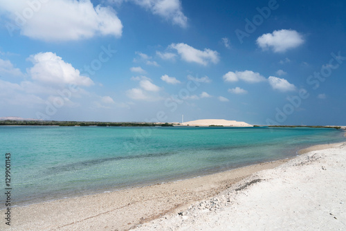 Obraz na płótnie Sir Bani Yas island sand beach, Abu Dhabi, UAE w salonie