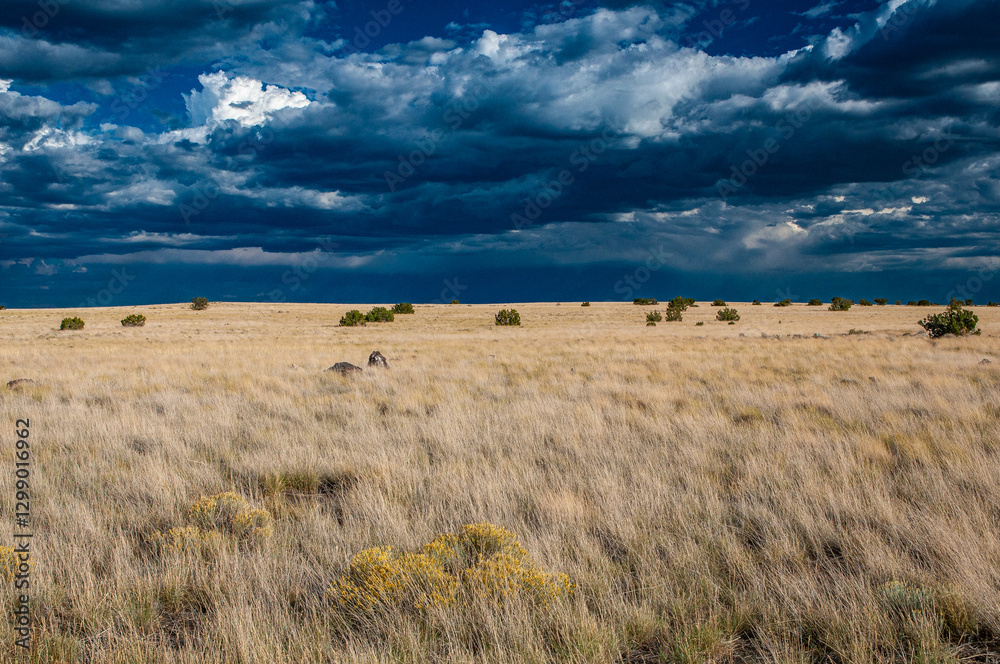 Obraz premium High Desert